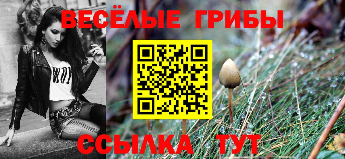 Галлюциногенные грибы Psilocybe  Вход с VPN  Глазов  цены наркотик  Псилоцибиновые грибы GOLDEN TEACHER 