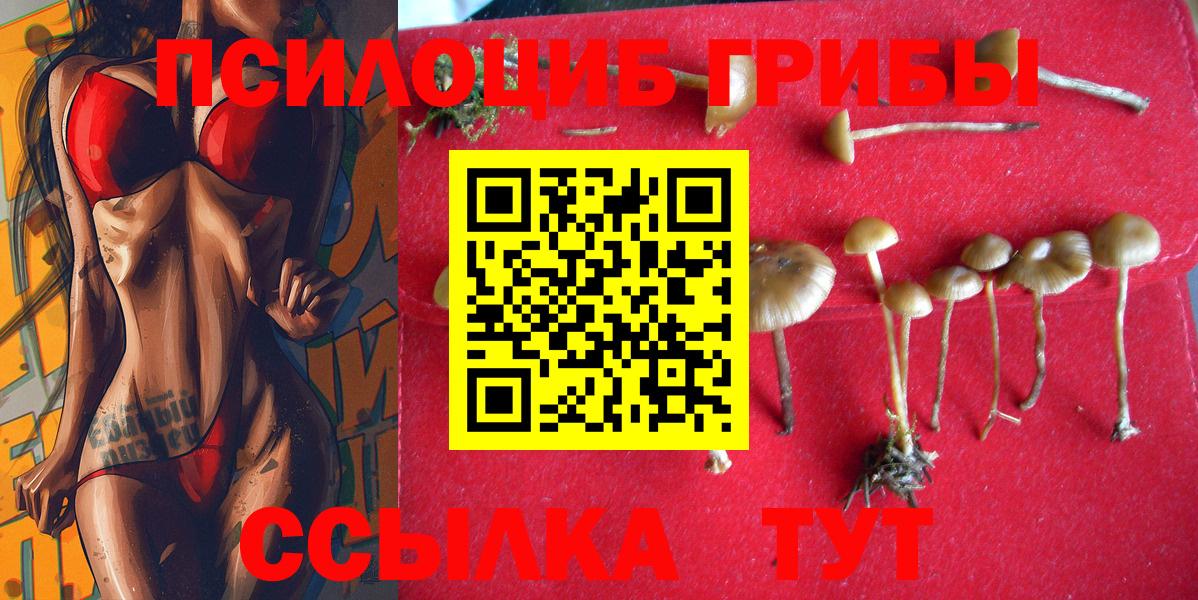 Галлюциногенные грибы MAGIC MUSHROOMS Глазов